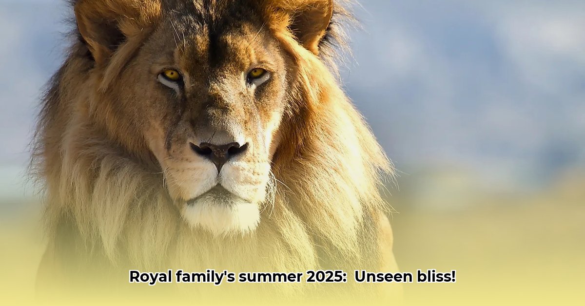 foto-s-koningshuis-vandaag